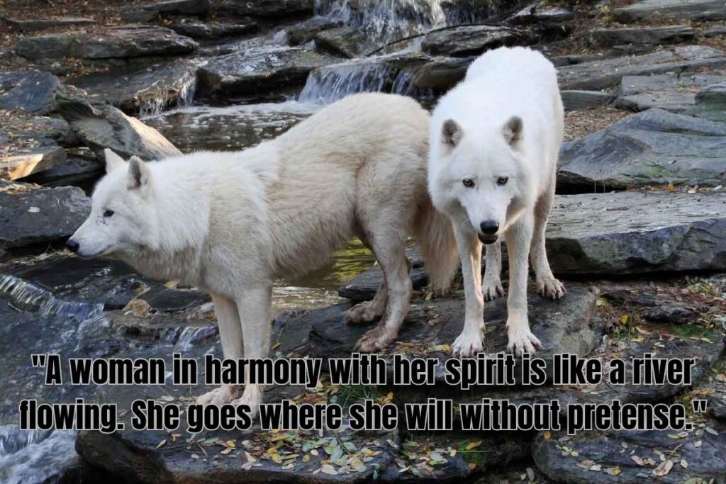 325+ Queen Savage Quotes: Empowering Women To Seize Their Throne!