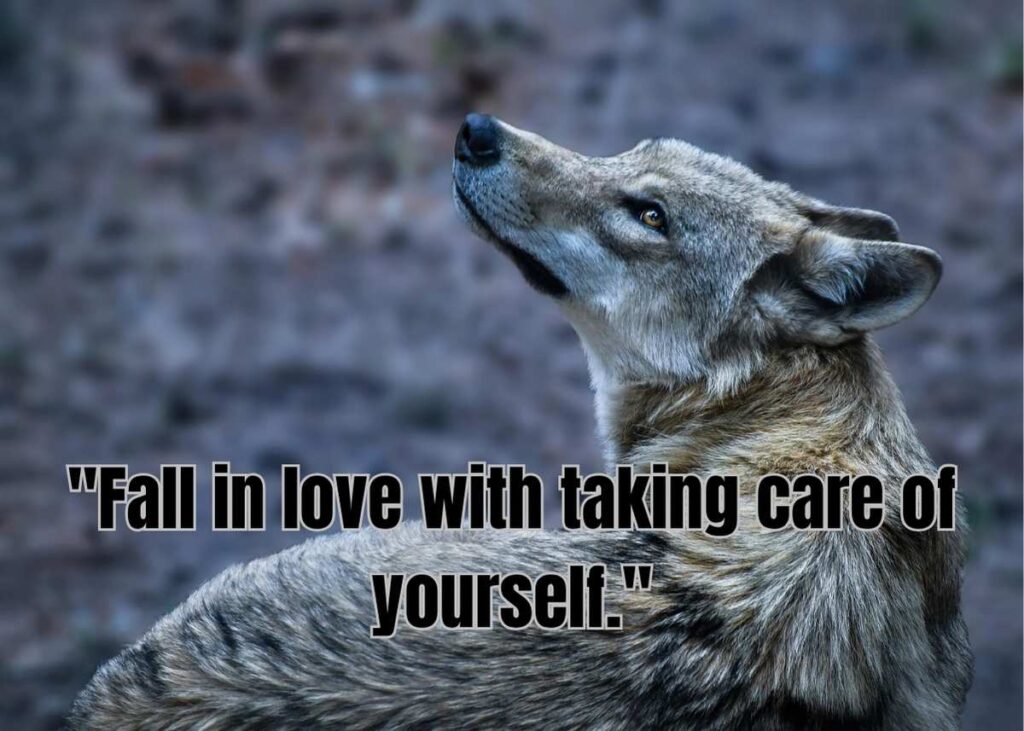 Boss Queen Savage Quotes for Career and Success