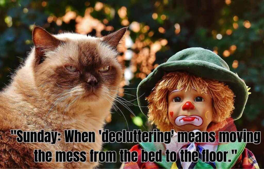 End-of-Weekend Sunday Quotes (Monday Blues Prevention)