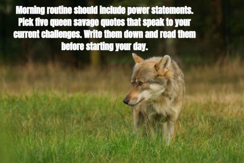How to Live by Queen Savage Quotes: Practical Application