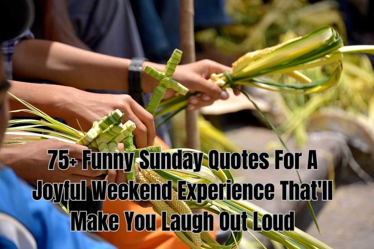 75+ Funny Sunday Quotes For A Joyful Weekend Experience That'll Make You Laugh Out Loud
