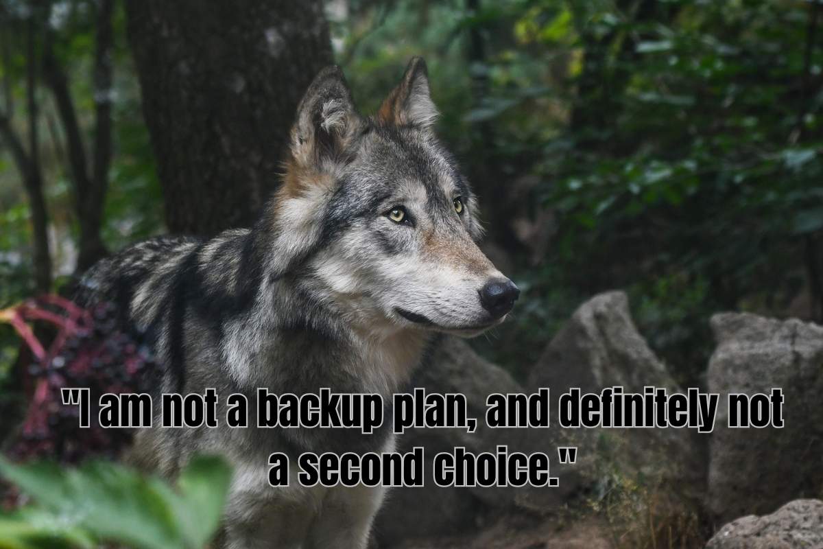 325+ Queen Savage Quotes: Empowering Women To Seize Their Throne!