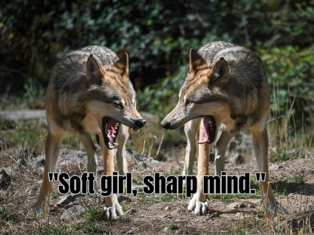 Short Queen Savage Quotes Perfect for Social Media