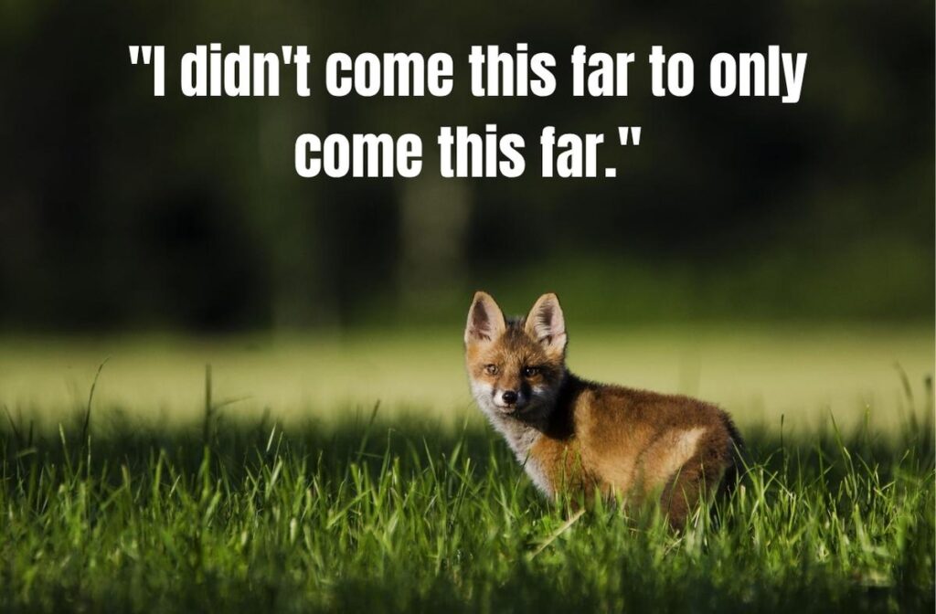 Motivational Queen Savage Quotes for Life Challenges