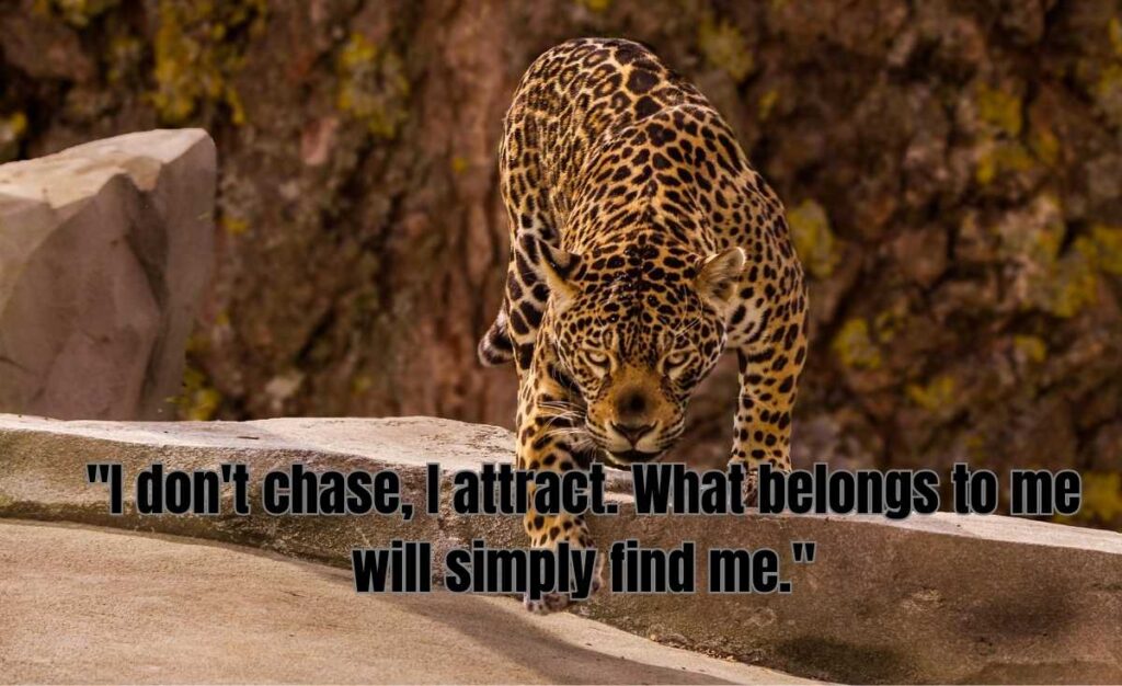 Fierce Queen Savage Quotes About Self-Worth and Confidence