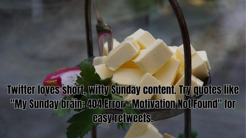 How to Use These Funny Sunday Quotes in Your Daily Life