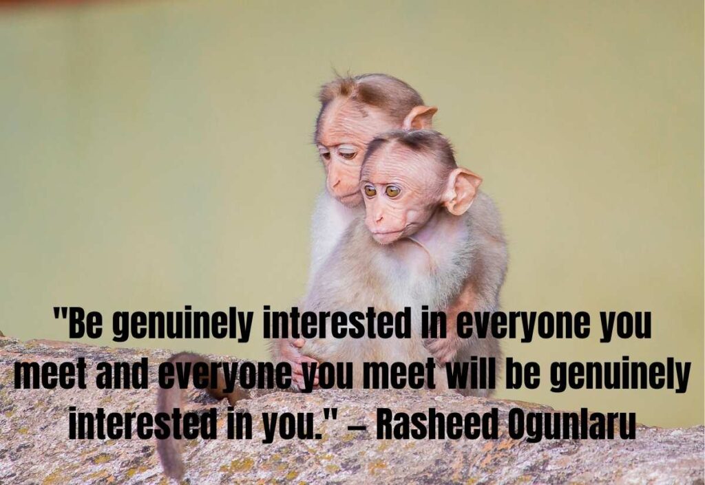 New Friendship Quotes for Building Connections