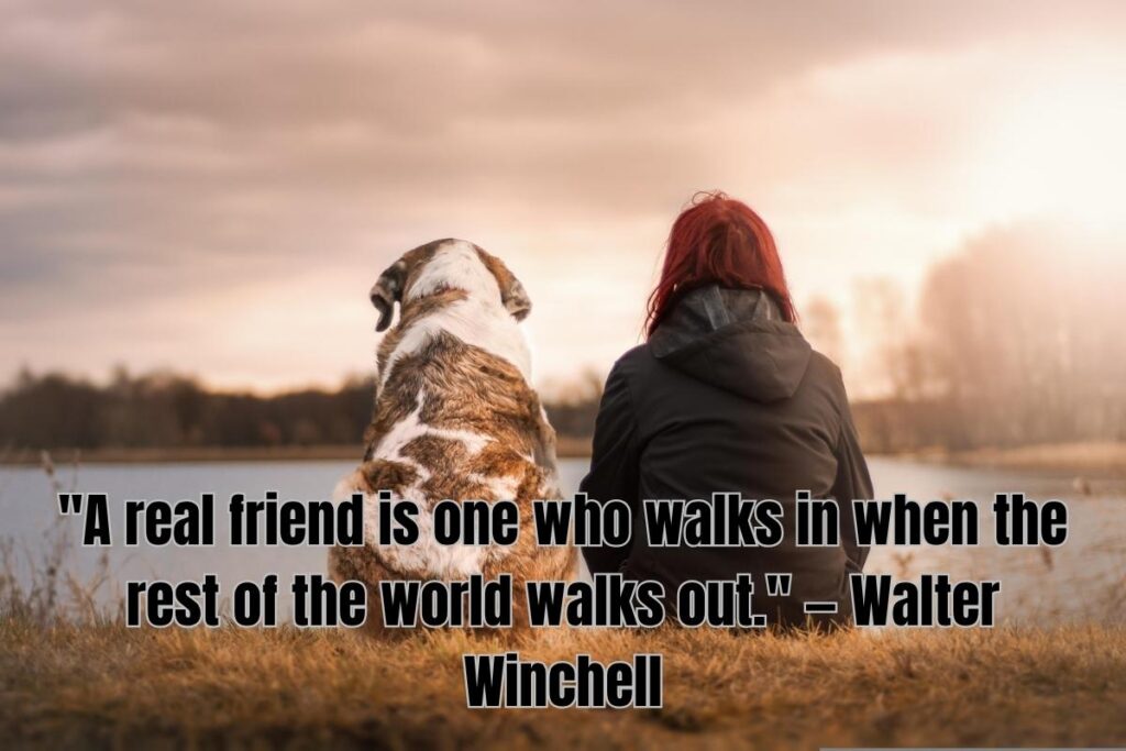 Funny Friendship Quotes to Share a Laugh