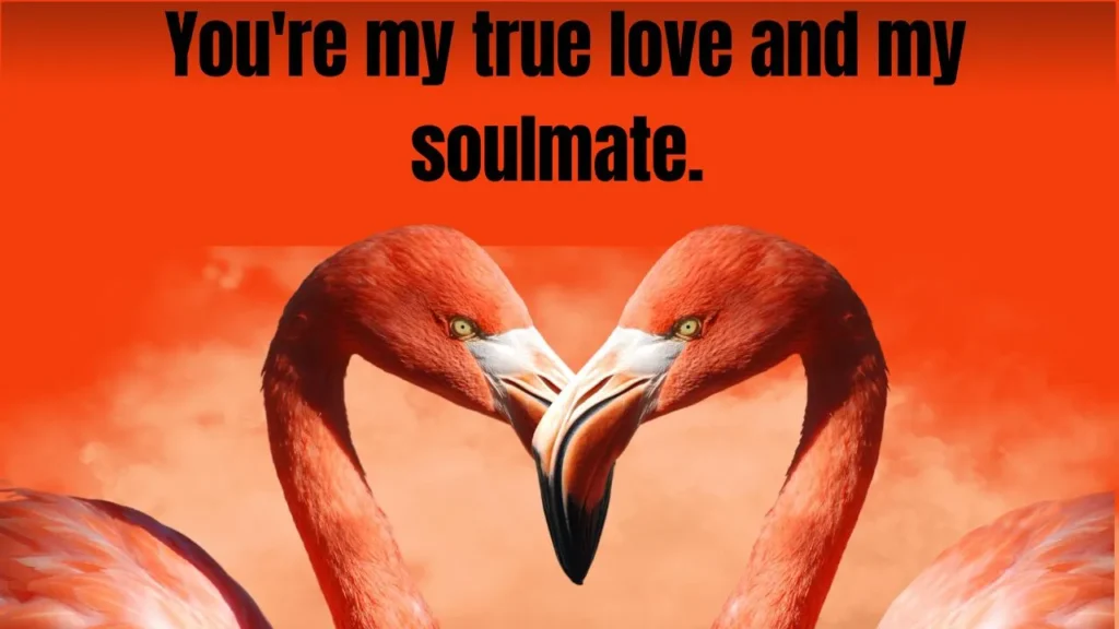130 Romantic Love Messages to Tell Them How You Feel