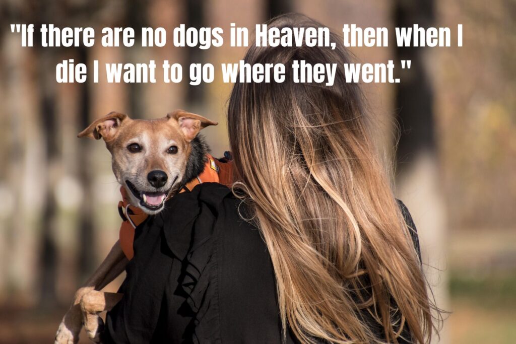 70 Heartfelt Quotes and Messages for the Loss of Pet: Finding Comfort During Your Grief