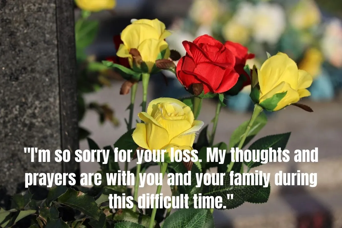 45 Heartfelt Condolence Text Messages to Offer Sympathy and Support During Times of Loss