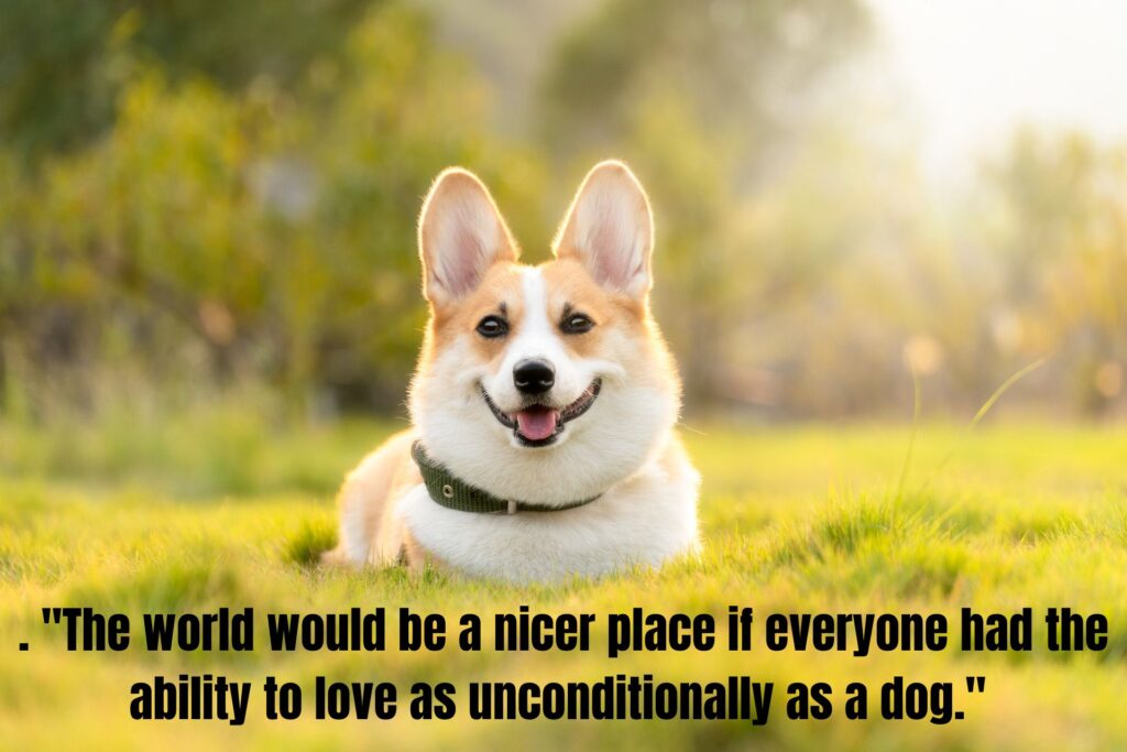 70 Heartfelt Quotes and Messages for the Loss of Pet: Finding Comfort During Your Grief