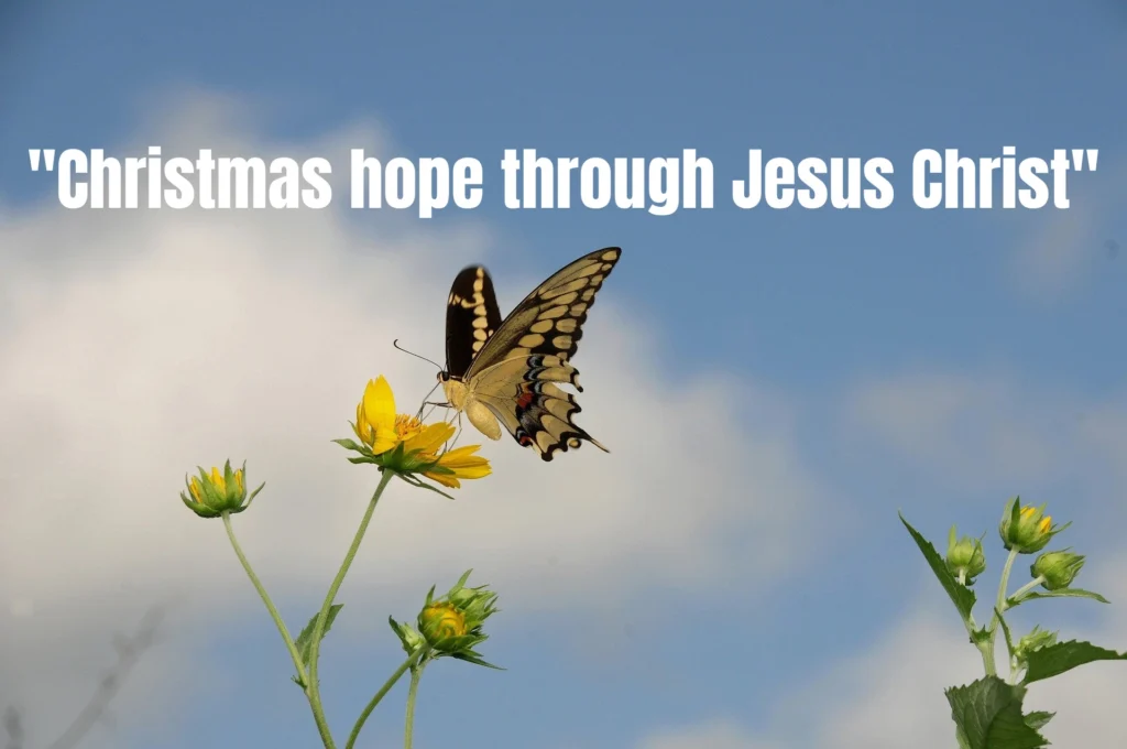 100+ Short Christmas Card Messages for Family and Friends That Spread Holiday Joy