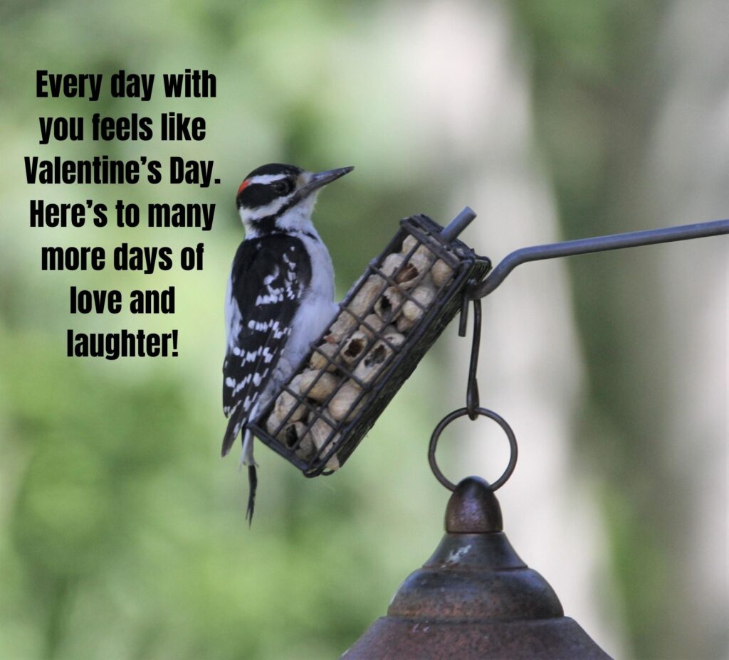 Top 100 Valentine's Day Quotes and Wishes for Husband to Make His Heart Melt