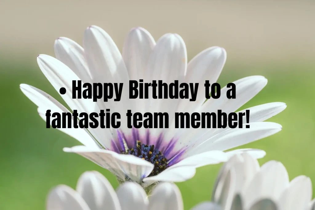 50 Birthday Wishes for Workers That Will Make Their Day Extra Special