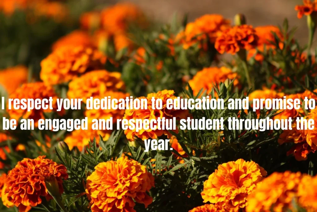 90 Best Messages to Impress Teacher: Perfect Words to Show Appreciation and Respect