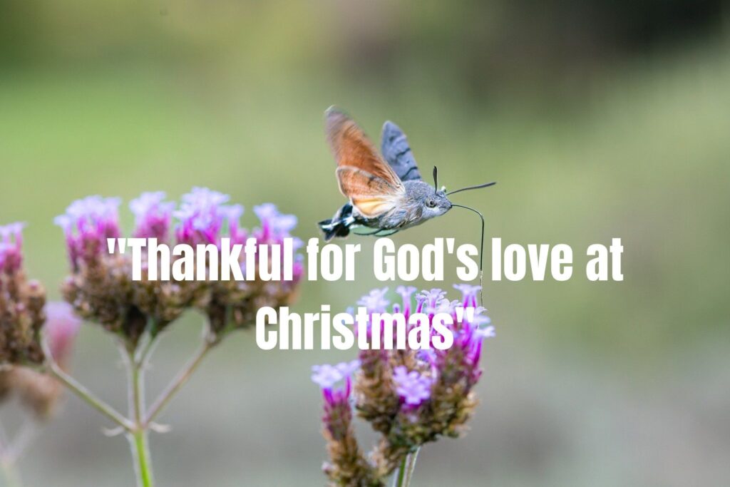 100+ Short Christmas Card Messages for Family and Friends That Spread Holiday Joy