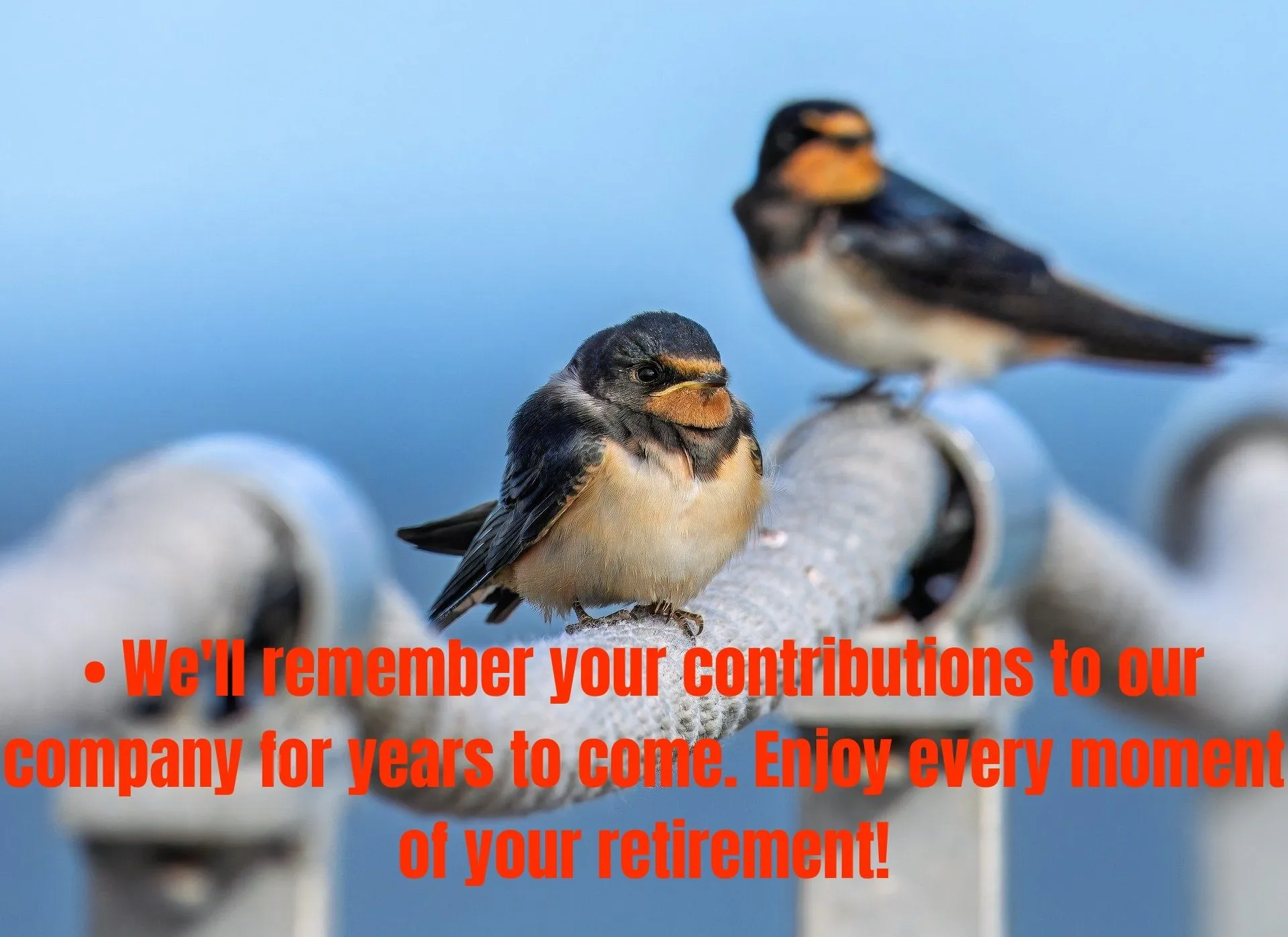 50 Retirement Messages for Coworker: Perfect Words to Celebrate Their Next Chapter