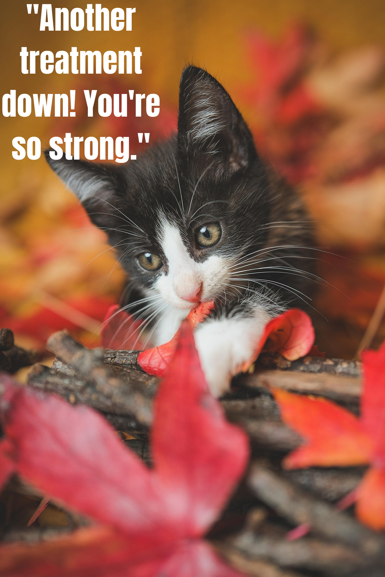 Heartfelt Messages & Wishes for Friends Who Are Ill - 75+ Ways to Show You Care