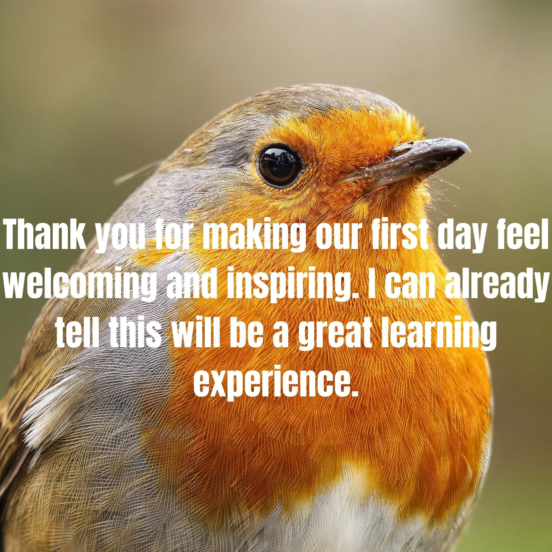 90 Best Messages to Impress Teacher: Perfect Words to Show Appreciation and Respect