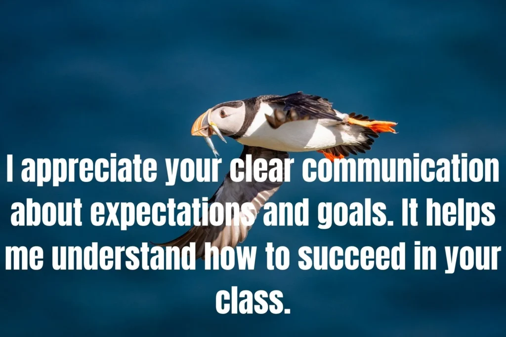 90 Best Messages to Impress Teacher: Perfect Words to Show Appreciation and Respect
