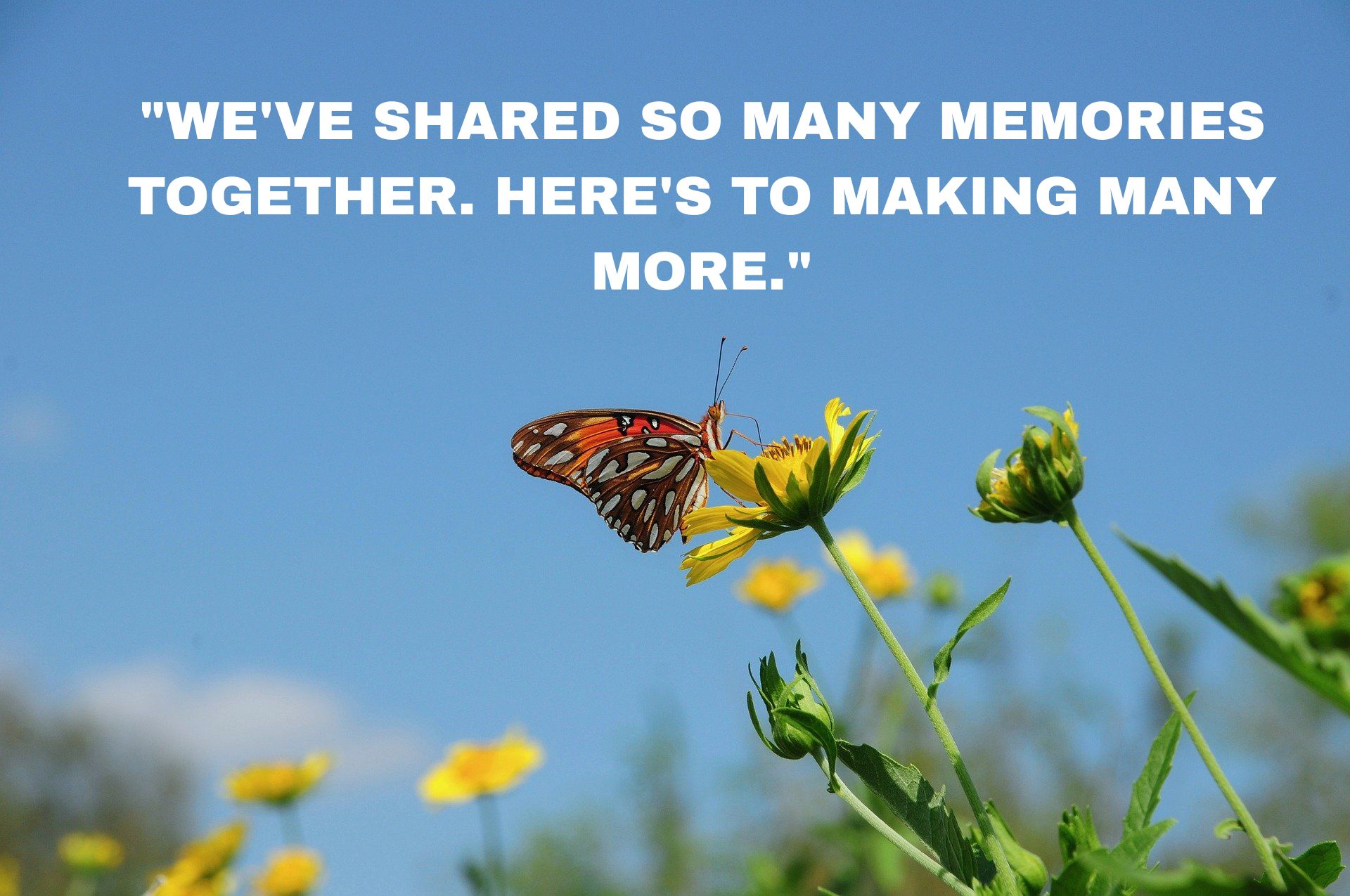 Happy Friend Anniversary Quotes and Wishes to Celebrate Your Best Friend
