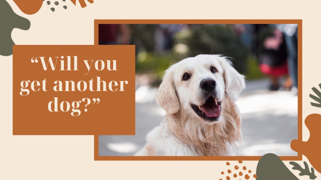 100+ Sympathy Messages for Loss of Dog: Finding the Right Words to Comfort a Grieving Dog Owner