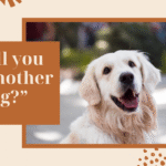 100+ Sympathy Messages for Loss of Dog: Finding the Right Words to Comfort a Grieving Dog Owner