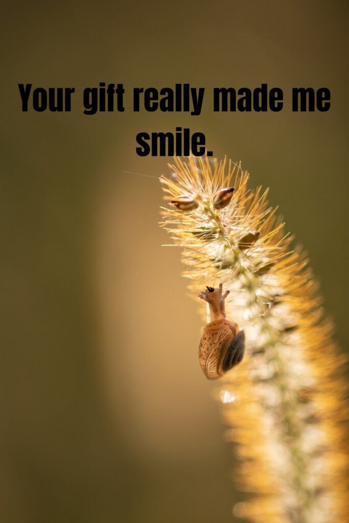 100+ Heartfelt Thank You Messages and Words of Appreciation
