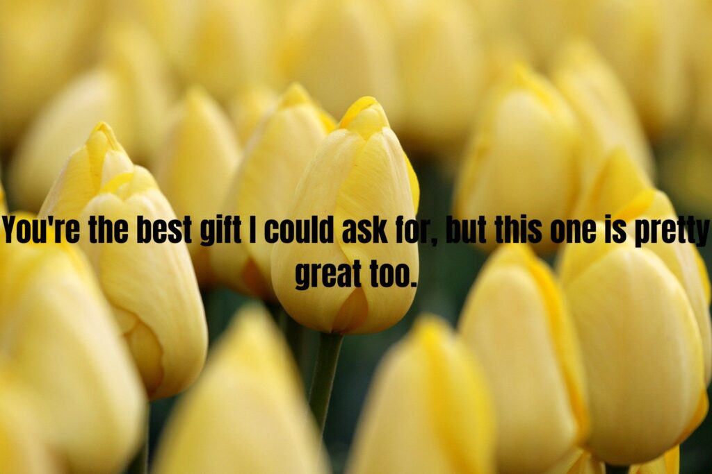 100+ Heartfelt Thank You Messages and Words of Appreciation
