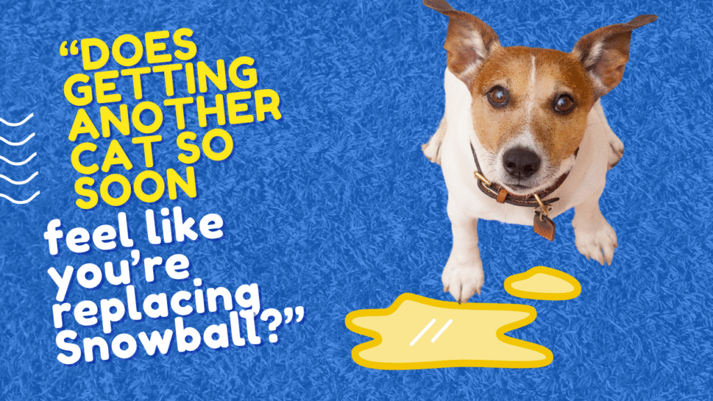 100+ Sympathy Messages for Loss of Dog: Finding the Right Words to Comfort a Grieving Dog Owner