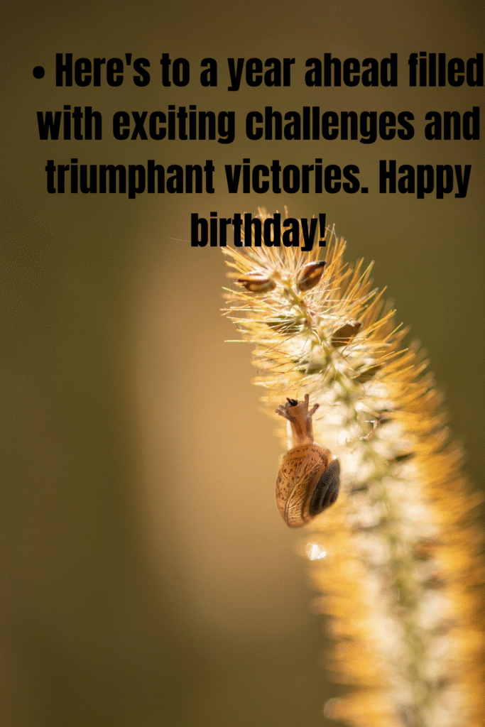 Happy Birthday Wishes For Boss: 50 Honest Messages to Show Professional Appreciation